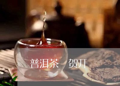 普洱茶 贺开/2023042607818